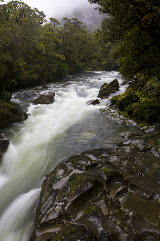 Rapids On The Cleddau River